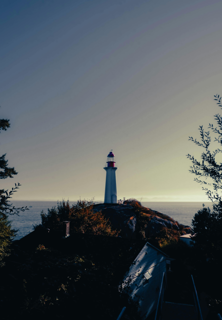 Scenic view of Vancouver Island representing local IT services